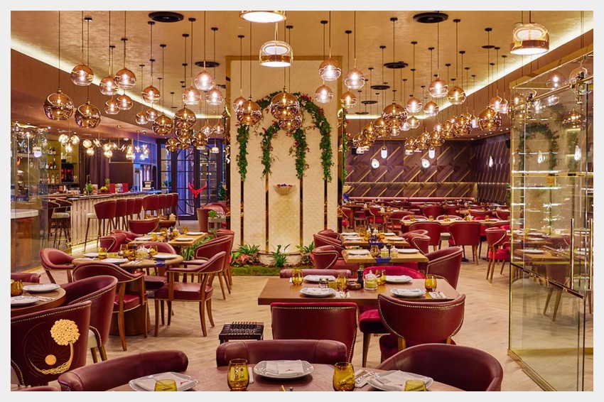 Dubai Cafe Sandalyeleri