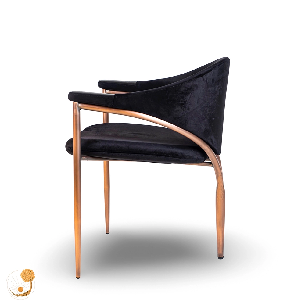 delawera chair