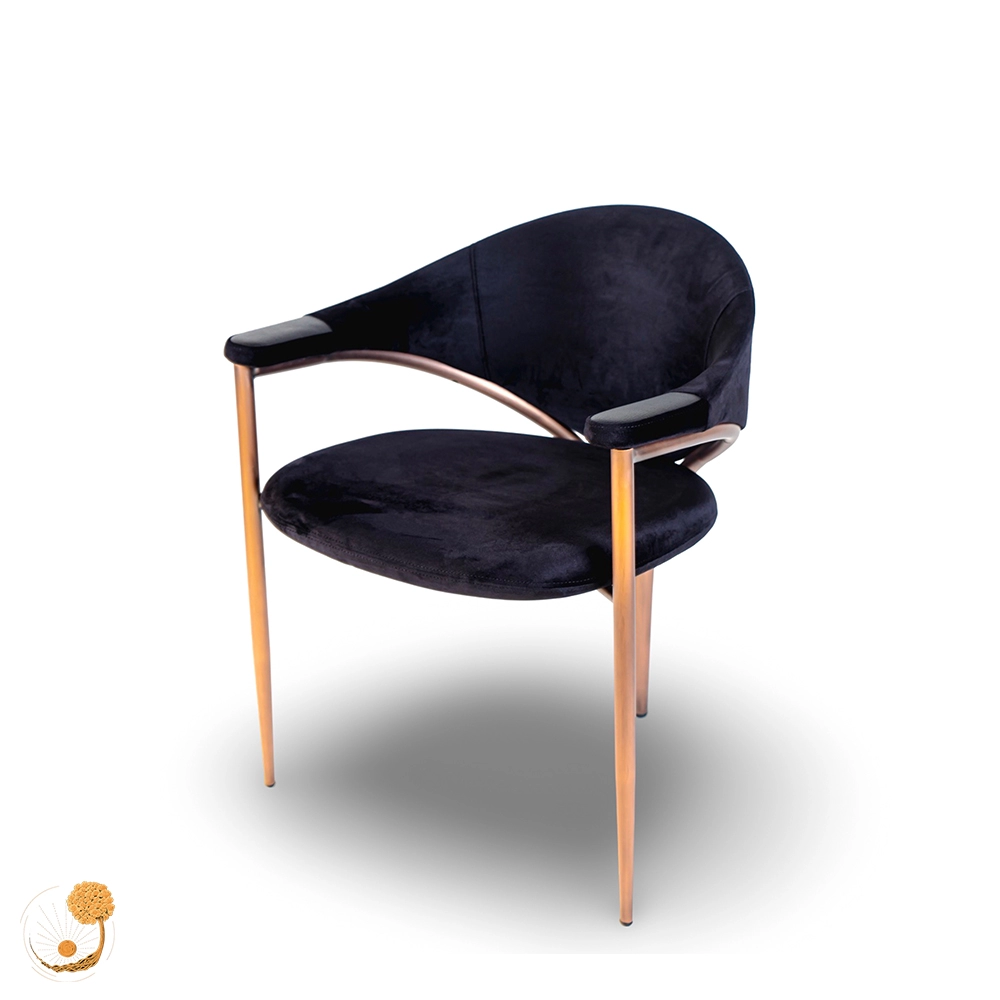 delawera chair